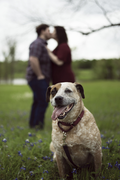 LoriSlottPhotography.com-Pet-Photo-Session